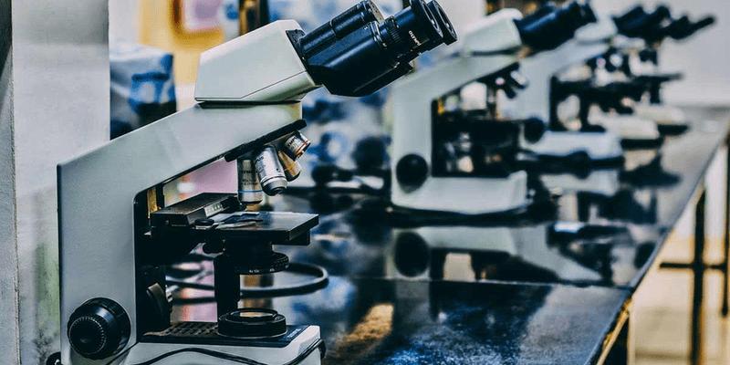 Les Différences entre un BTS BioRP (Ex. BTS Biotechnologies) et un BTS ABM Les Différences entre un BTS BioRP (Ex. BTS Biotechnologies) et un BTS ABM